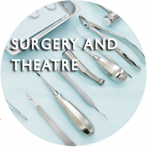 SURGERY AND THEATRE